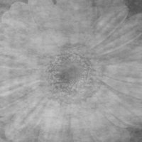 ba5081.jpg