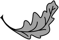 ba5071.jpg
