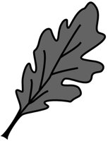 ba5070.jpg