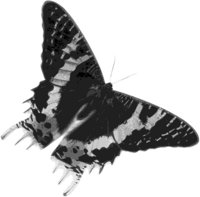 ba5034.jpg