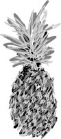 ba5031.jpg