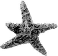 ba5028.jpg