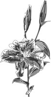 ba5027.jpg