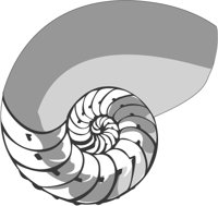 ba5026.jpg