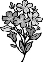 ba5013.jpg