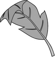 ba5005.jpg