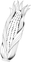 la3107.tif