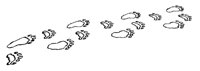 la4105.tif