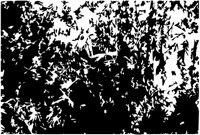 la5036.tif