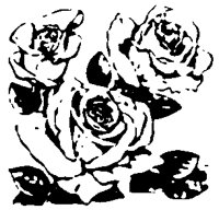 la5019.tif