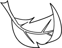 la5004.tif