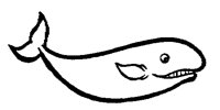 WHALE_1M.BMP