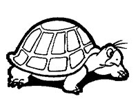 TURTLE1M.BMP