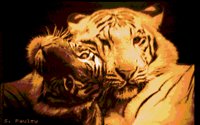 TIGERS2.BMP