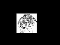 TIGER5.BMP