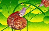 SNAIL.BMP