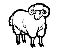 SHEEP_1M.BMP