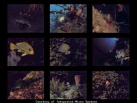 SEA13.BMP