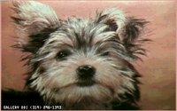 PUPS11.BMP