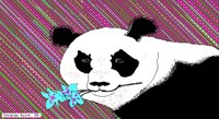 PANDA1.BMP