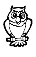 OWL___1M.BMP