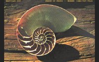 NAUTILUS.BMP