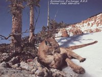 MTNLION.BMP