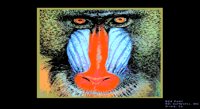 MANDRIL2.BMP