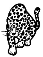 LEOPAR1M.BMP