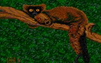 LEMUR.BMP