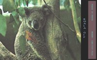 KOALA2.BMP