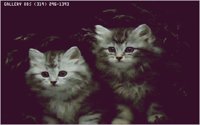 KITTY06.BMP