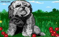 JACQUES.BMP