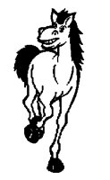 HORSE_1M.BMP