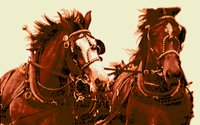 HORSES.BMP
