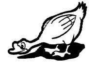 GOOSE_1M.BMP