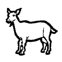 GOAT__1M.BMP