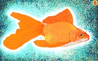 GFISH.BMP