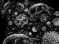 GERMS.BMP