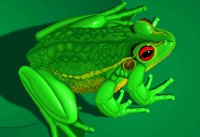 FROG2.BMP