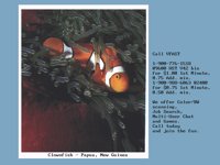 FISH4VF.BMP