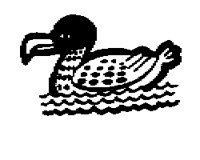 DUCK__1M.BMP