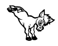 DONKEY1M.BMP