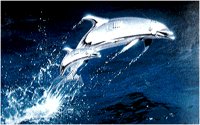 DOLPHN.BMP