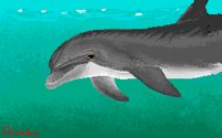 DOLPHIN.BMP