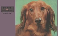 DOGS4.BMP