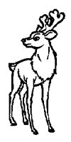 DEER__2M.BMP
