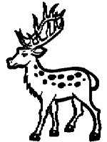 DEER__1M.BMP