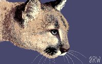 COUGAR4.BMP