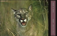 COUGAR1.BMP